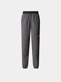 Брюки The North Face W Ma Wind Track Pant модель NF0A87G5WUO1 Фото