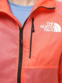Куртки и дубленки The North Face W Windstream Shell модель NF0A87HFGTH1 Фото