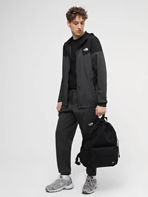 Куртки и дубленки The North Face M Ma Wind Track Hoodie модель NF0A87J2MN81 Фото