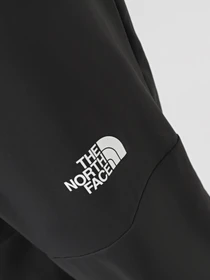 Брюки The North Face M Ma Wind Track Pant модель NF0A87J60C51 Фото