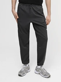 Брюки The North Face M Ma Wind Track Pant модель NF0A87J60C51 Фото