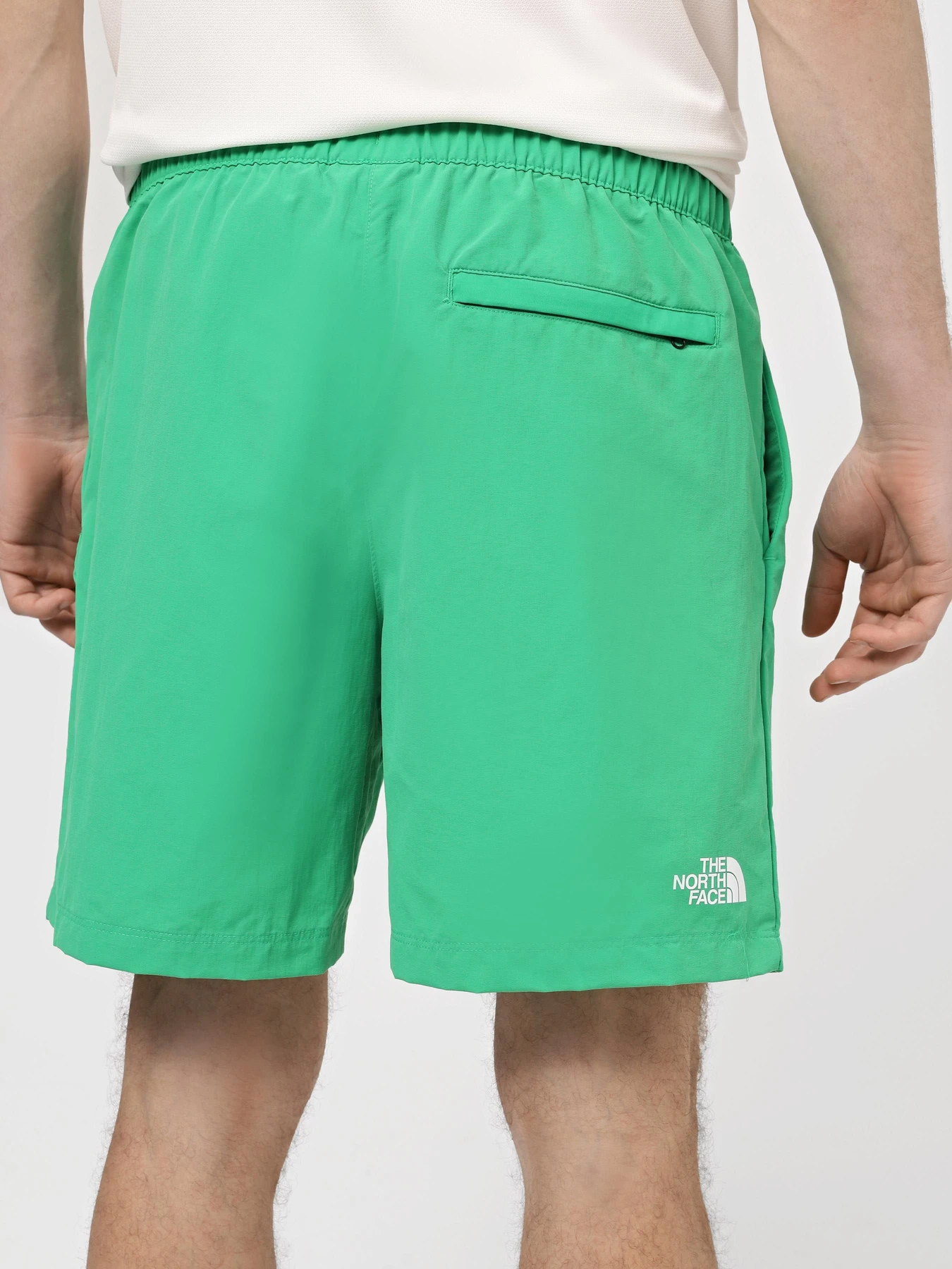 Шорты The North Face M Water Short - Eu модель NF0A5IG5PO81 Фото