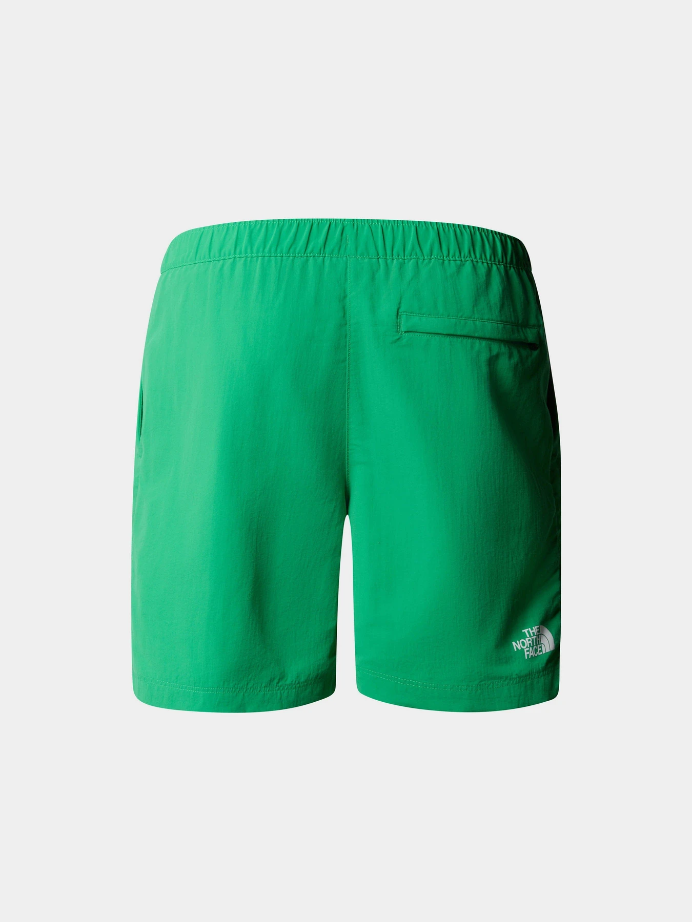 Шорты The North Face M Water Short - Eu модель NF0A5IG5PO81 Фото