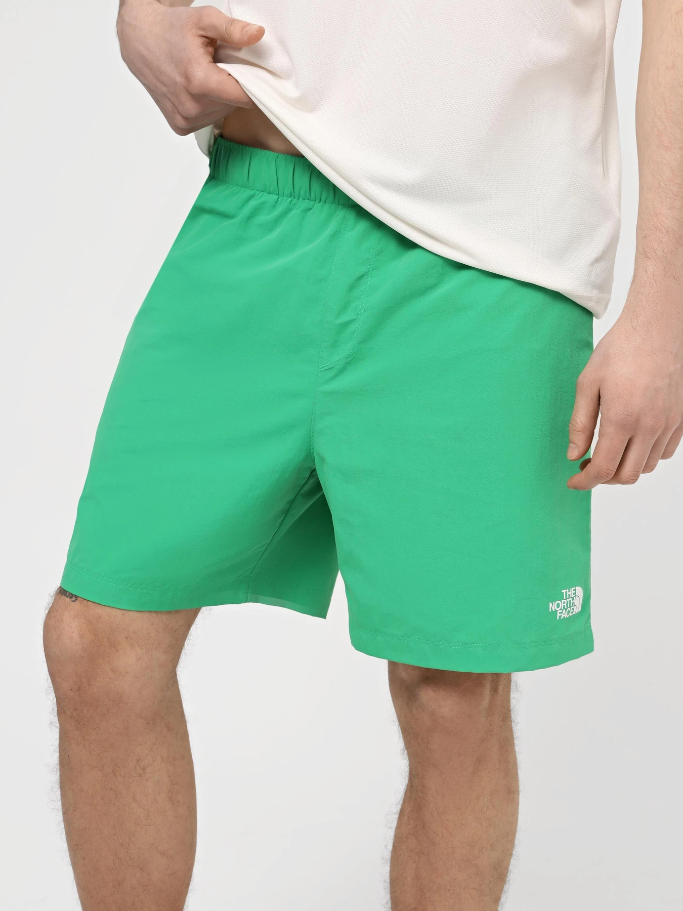 Шорты The North Face M Water Short - Eu модель NF0A5IG5PO81 Фото