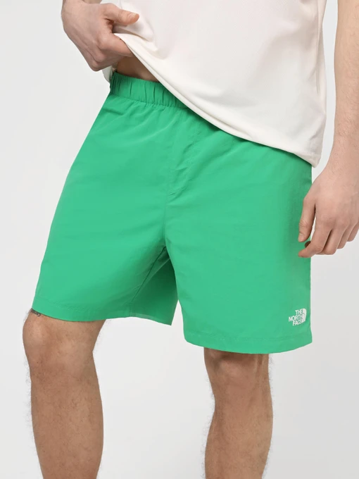Шорты The North Face M Water Short - Eu модель NF0A5IG5PO81 Фото