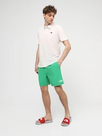 Шорты The North Face M Water Short - Eu модель NF0A5IG5PO81 Фото