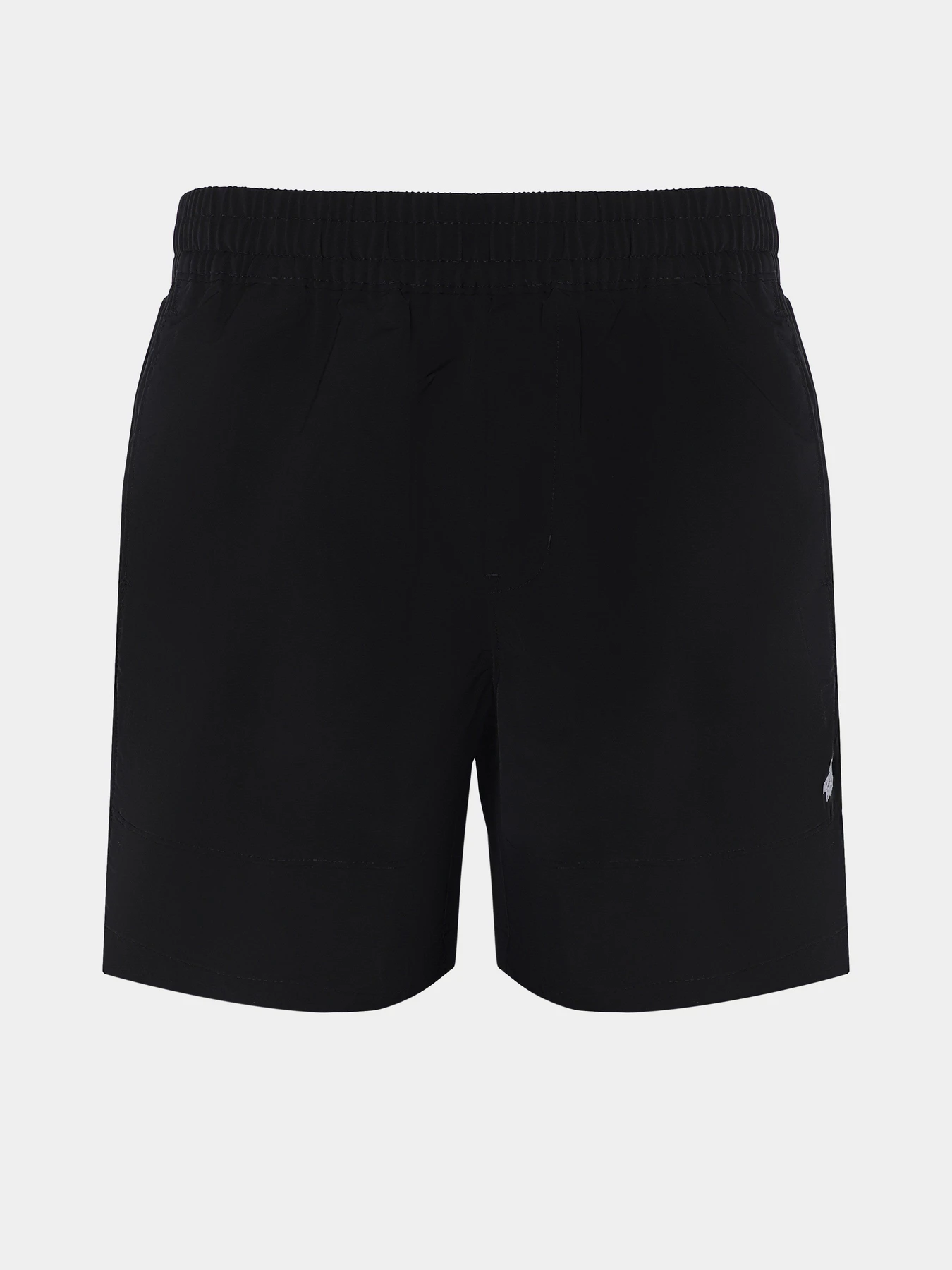 Шорты The North Face M Tnf Easy Wind Short модель NF0A8768JK31 Фото