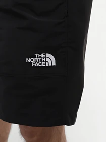 Шорты The North Face M Tnf Easy Wind Short модель NF0A8768JK31 Фото