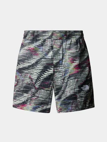 Шорты The North Face M Tnf Easy Wind Short модель NF0A8768SIR1 Фото