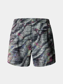 Шорты The North Face M Tnf Easy Wind Short модель NF0A8768SIR1 Фото