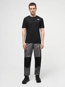 Штани The North Face M Wind Shell Pant модель NF0A879QRPI1 Фото