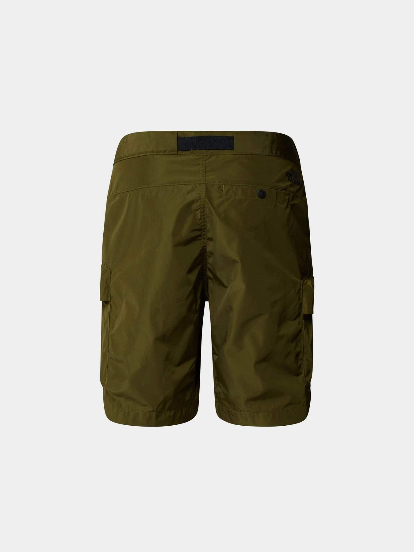 Шорты The North Face M Nse Cargo Pkt Short модель NF0A879RPIB1 Фото