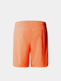 Шорты The North Face 24/7 модель NF0A3O1BQI41 Фото