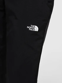 Штани The North Face W Quest Pant – Eu модель NF0A3S45KX71 Фото
