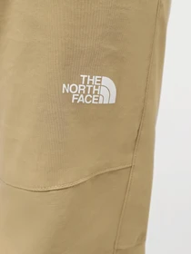 Штани The North Face M Lightning Pant - Eu модель NF0A495NLK51 Фото