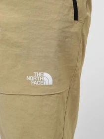 Шорты The North Face M Lightning Short - Eu модель NF0A495OLK51 Фото