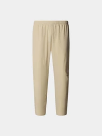 Брюки The North Face Movmynt модель NF0A537C3X41 Фото