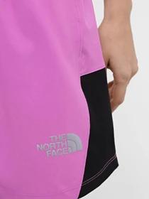 Шорты The North Face 2 In 1 Shorts модель NF0A7SXRUHO1 Фото