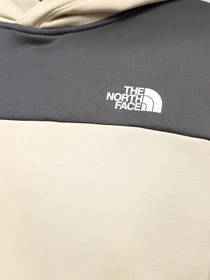 Худи и свитшоты The North Face M Reaxion Fleece P/O Hoodie - Eu модель NF0A7ZA8ZTI1 Фото