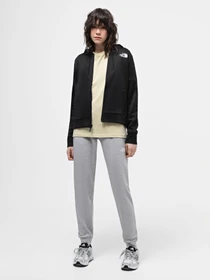 Брюки The North Face W Reaxion Fleece Jogger – Eu модель NF0A7ZABGAV1 Фото