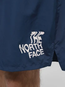Шорты The North Face M Limitless Run Short модель NF0A7ZU4SOO1 Фото