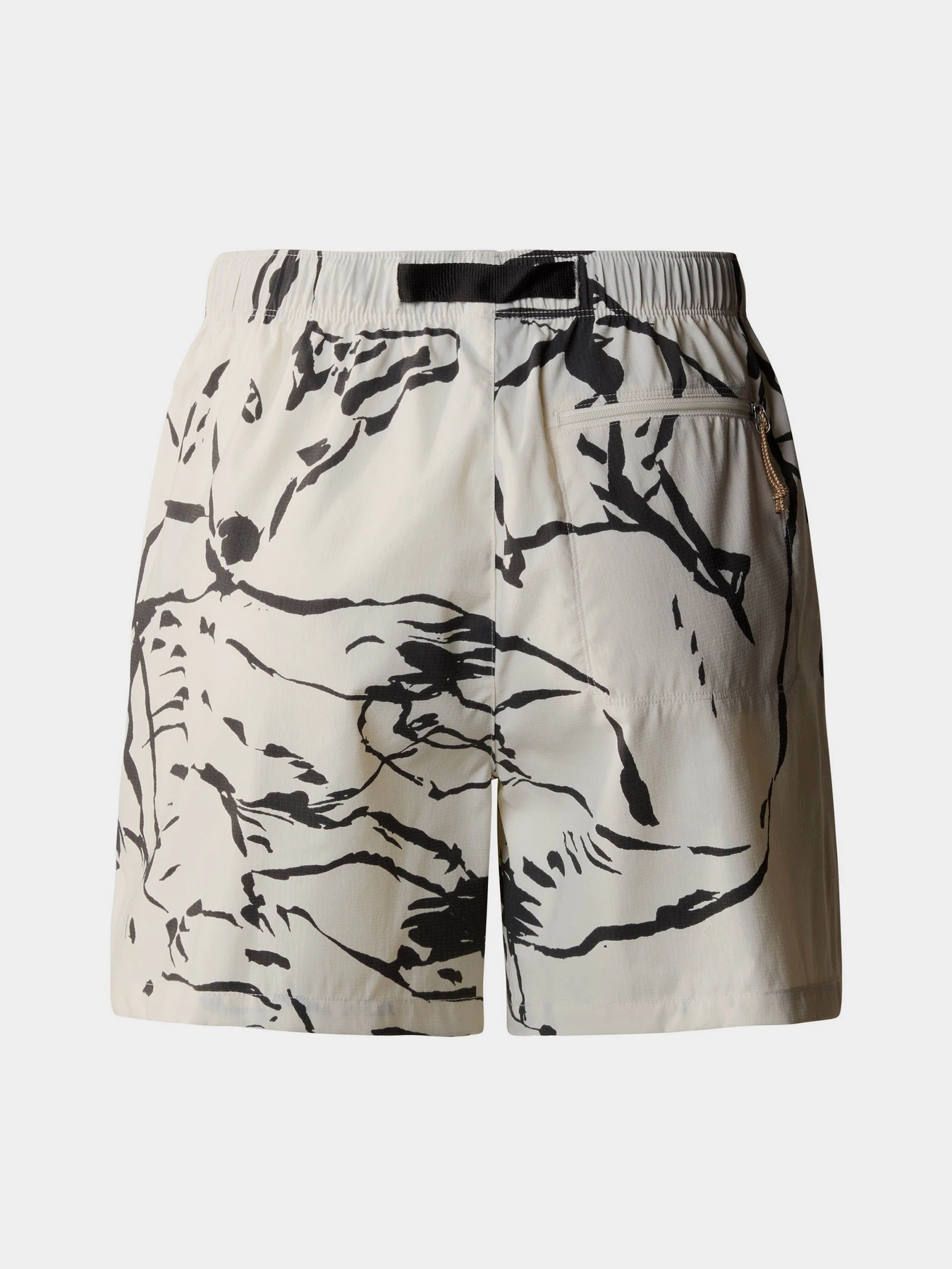 Шорты The North Face W Class V Pathfinder Belted Short модель NF0A81VWSI61 Шорты The North Face W Class V Pathfinder Belted Short модель NF0A81VWSI61 Фото