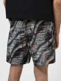 Шорты The North Face M Class V Ripstop Boardshort модель NF0A81X1SIR1 Фото