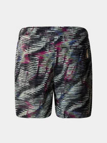 Шорты The North Face M Class V Ripstop Boardshort модель NF0A81X1SIR1 Фото