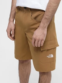 Шорты The North Face Horizon модель NF0A824D1731 Фото
