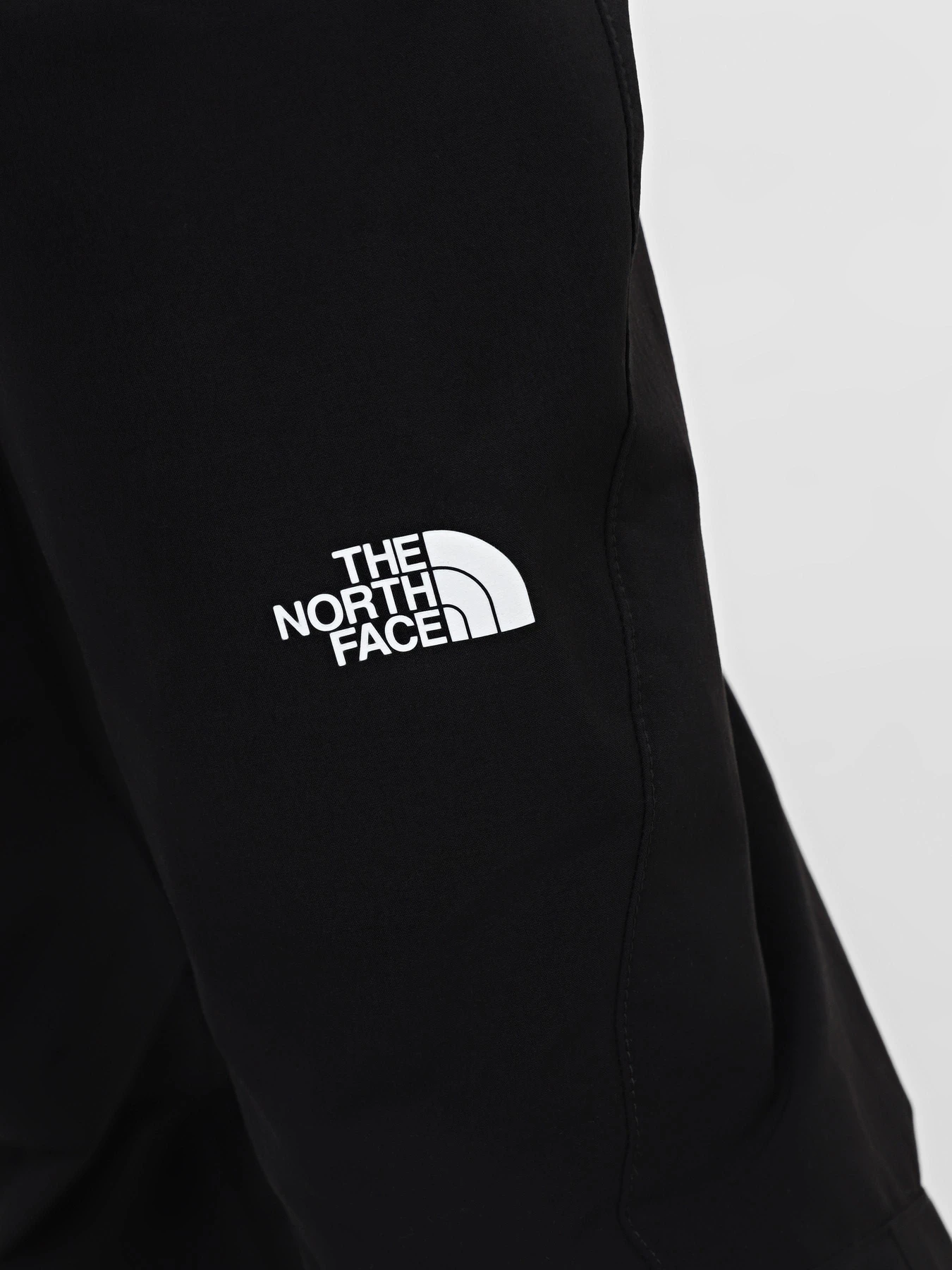 Брюки The North Face Exploration модель NF0A824GJK31 Фото