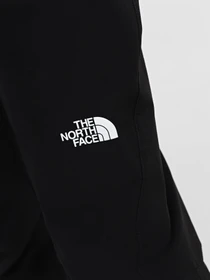 Брюки The North Face Exploration модель NF0A824GJK31 Фото