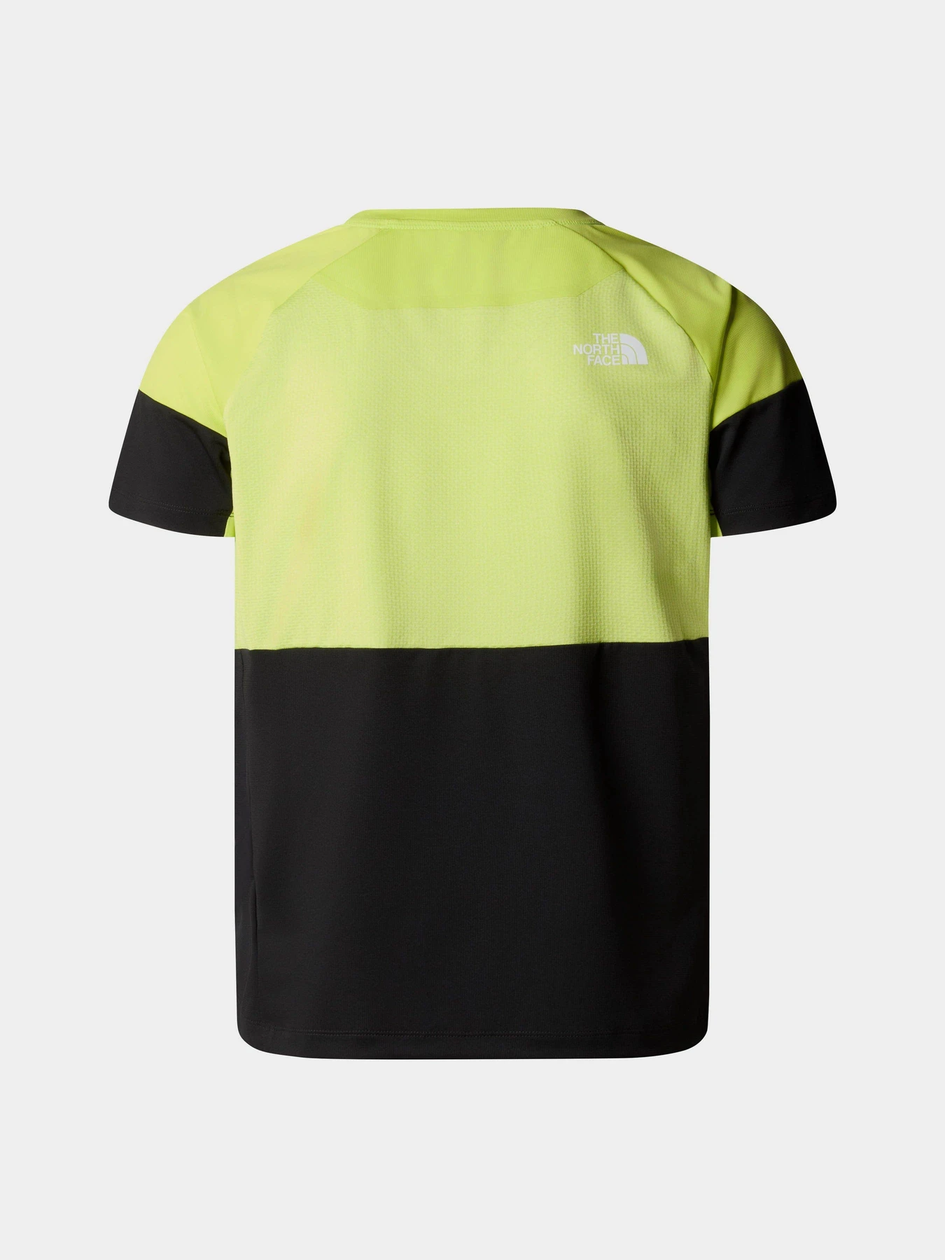 Футболки и поло The North Face M Bolt Tech Tee модель NF0A825GWIT1 Футболки и поло The North Face M Bolt Tech Tee модель NF0A825GWIT1 Фото