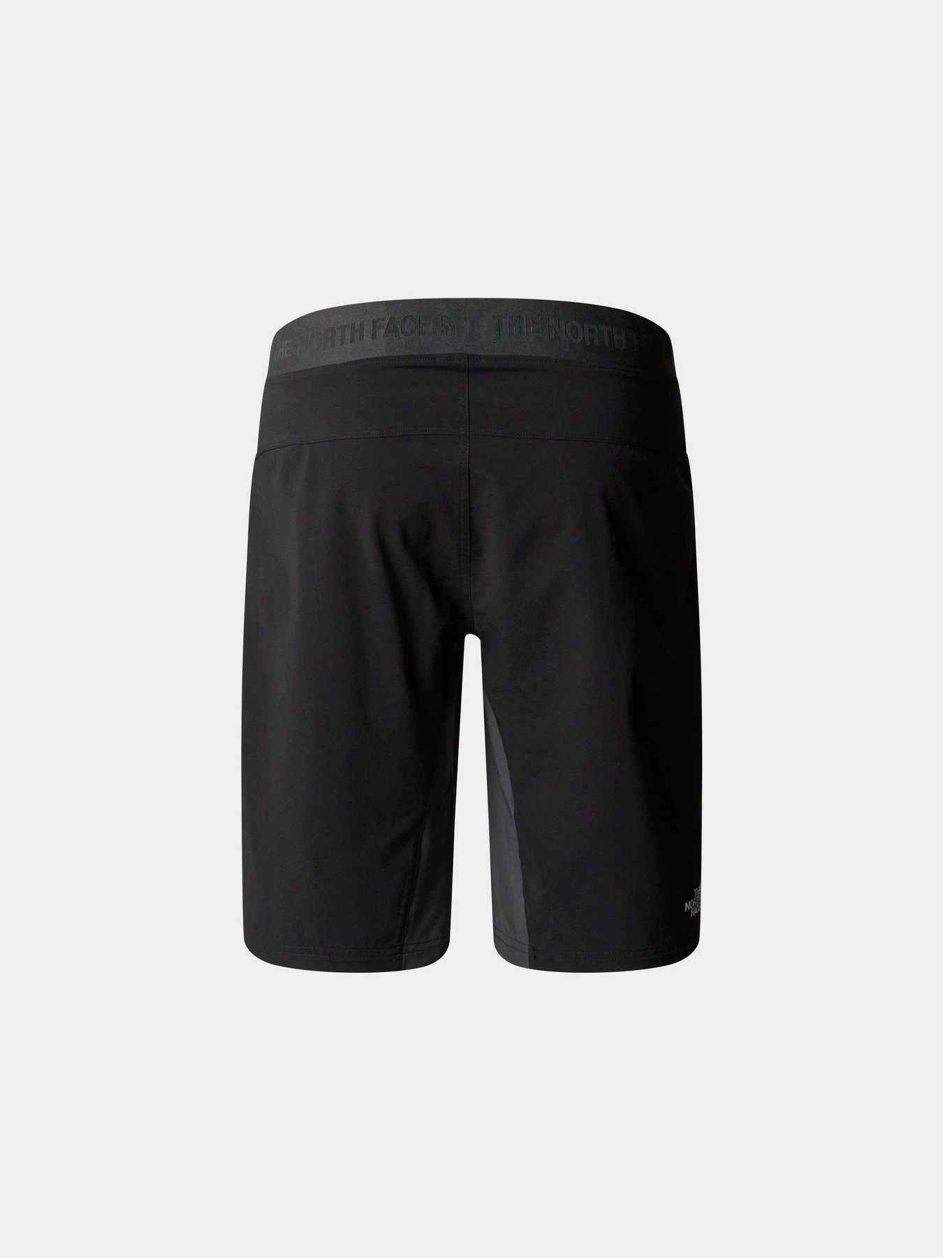 Шорты The North Face M Felik Slim Tapered Short модель NF0A825XK1C1 Шорты The North Face M Felik Slim Tapered Short модель NF0A825XK1C1 Фото