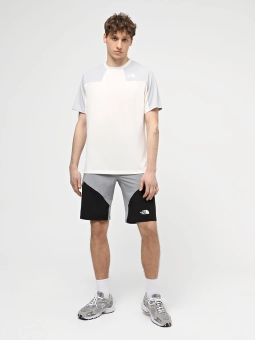 Чоловічі Спортивні шорти The North Face M Felik Slim Tapered Short фото 2