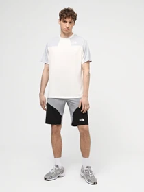 Шорты The North Face M Felik Slim Tapered Short модель NF0A825XK1C1 Фото