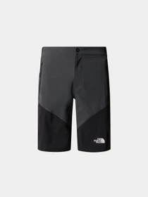 Шорты The North Face M Felik Slim Tapered Short модель NF0A825XK1C1 Фото