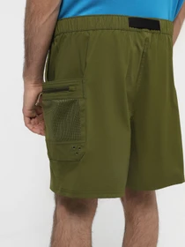 Шорты The North Face M Class V Pathfinder Belted Short модель NF0A86QJPIB1 Фото