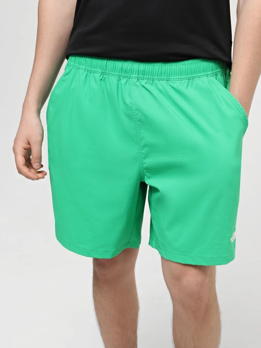 Шорты The North Face M Class V Pathfinder Pull On Short модель NF0A86QMPO81 Фото