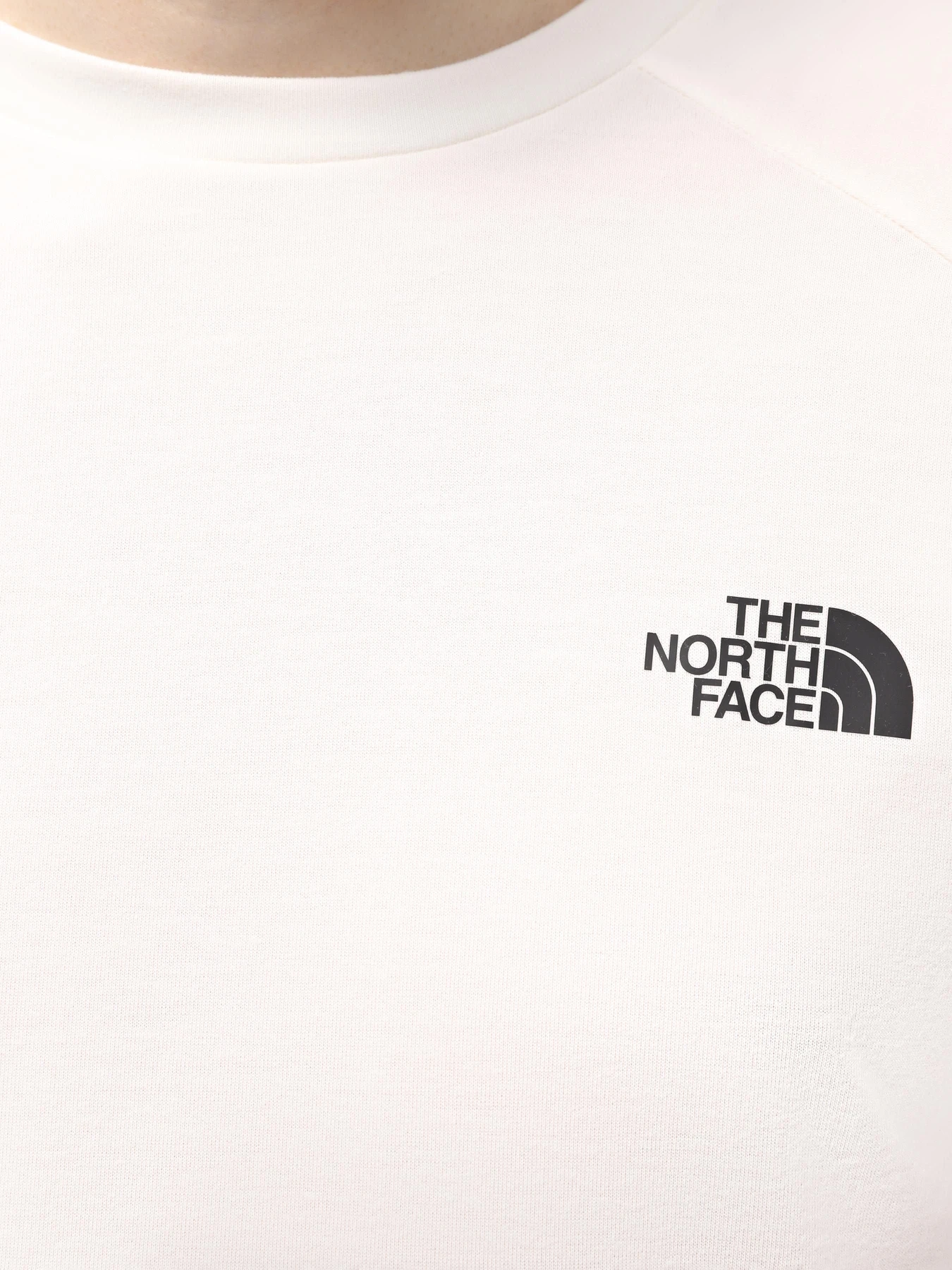 Футболки и поло The North Face M Foundation S/S Tee модель NF0A87FQQNI1 Футболки и поло The North Face M Foundation S/S Tee модель NF0A87FQQNI1 Фото