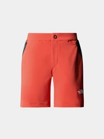 Шорты The North Face W Felik Slim Tapered Short модель NF0A87HYWIM1 Фото