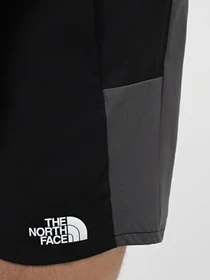 Шорты The North Face M Ma Woven Short модель NF0A87JMW9O1 Фото