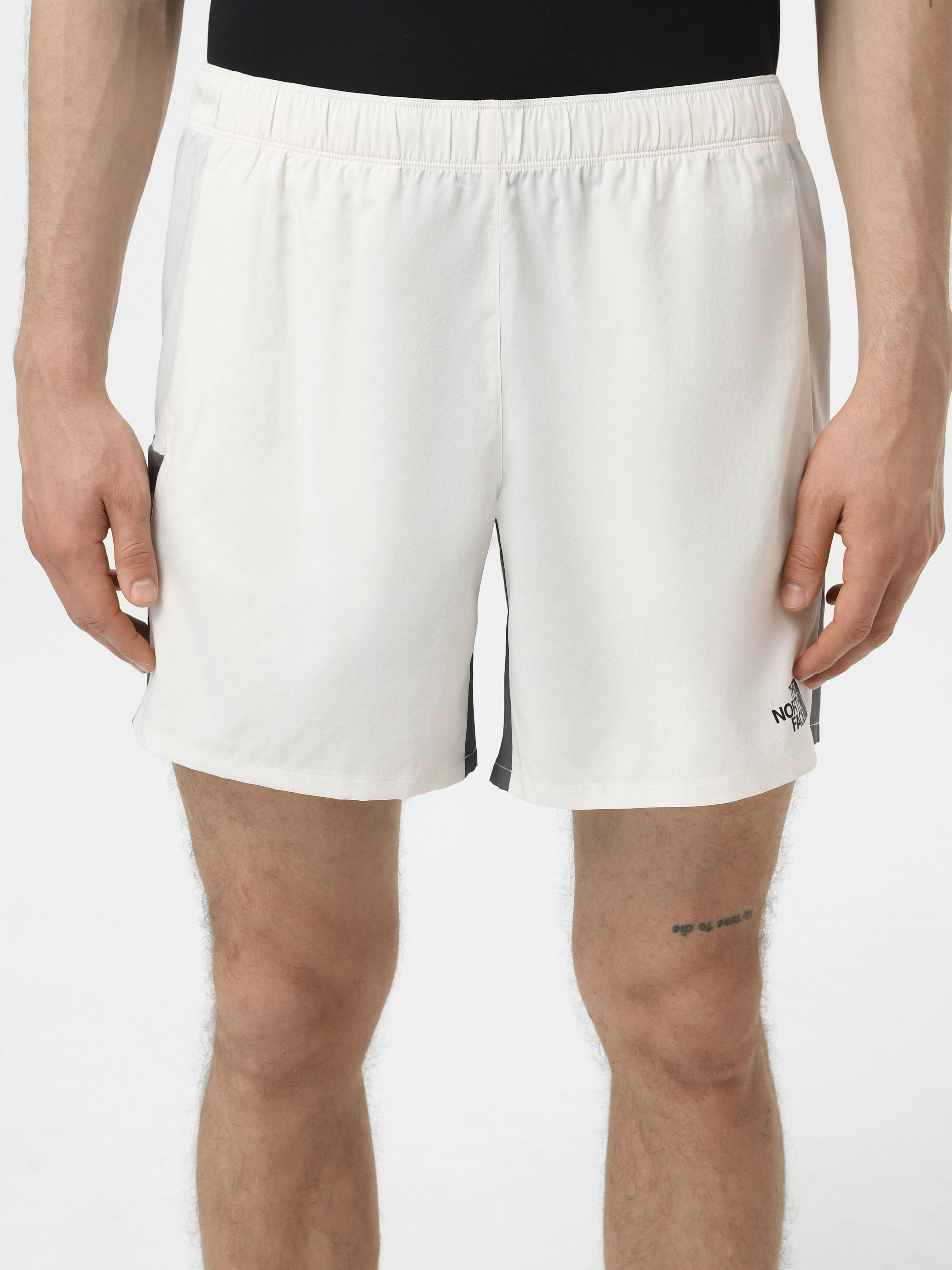 Чоловічі Спортивні шорти The North Face M Ma Woven Short