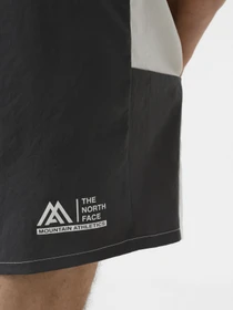 Шорты The North Face M Ma Woven Short модель NF0A87JMXOF1 Фото