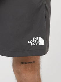 Шорты The North Face M Ma Woven Short Graphic модель NF0A87JNWUO1 Фото