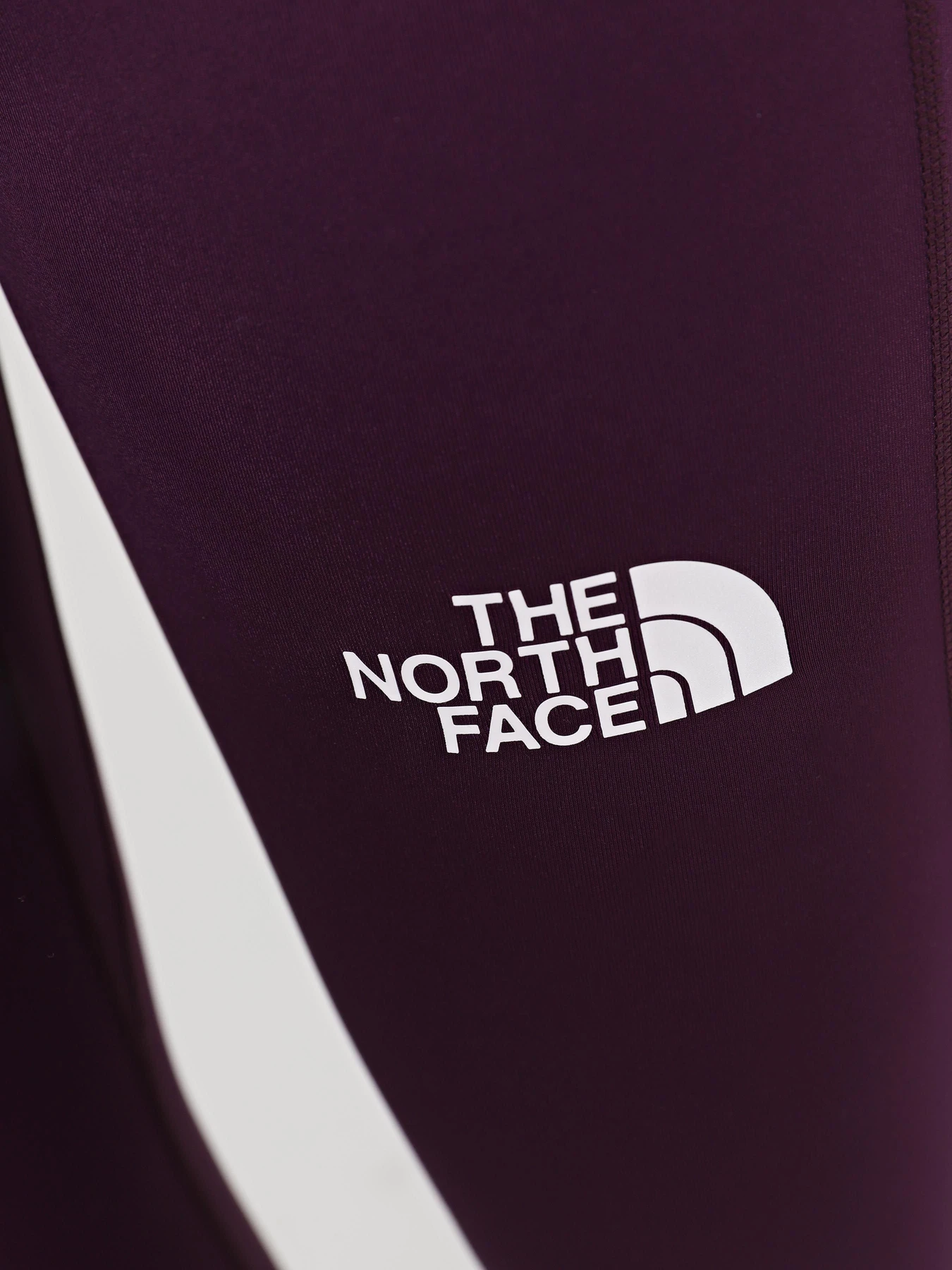 Брюки The North Face W Trail Run Tight модель NF0A87K1W4E1 Фото