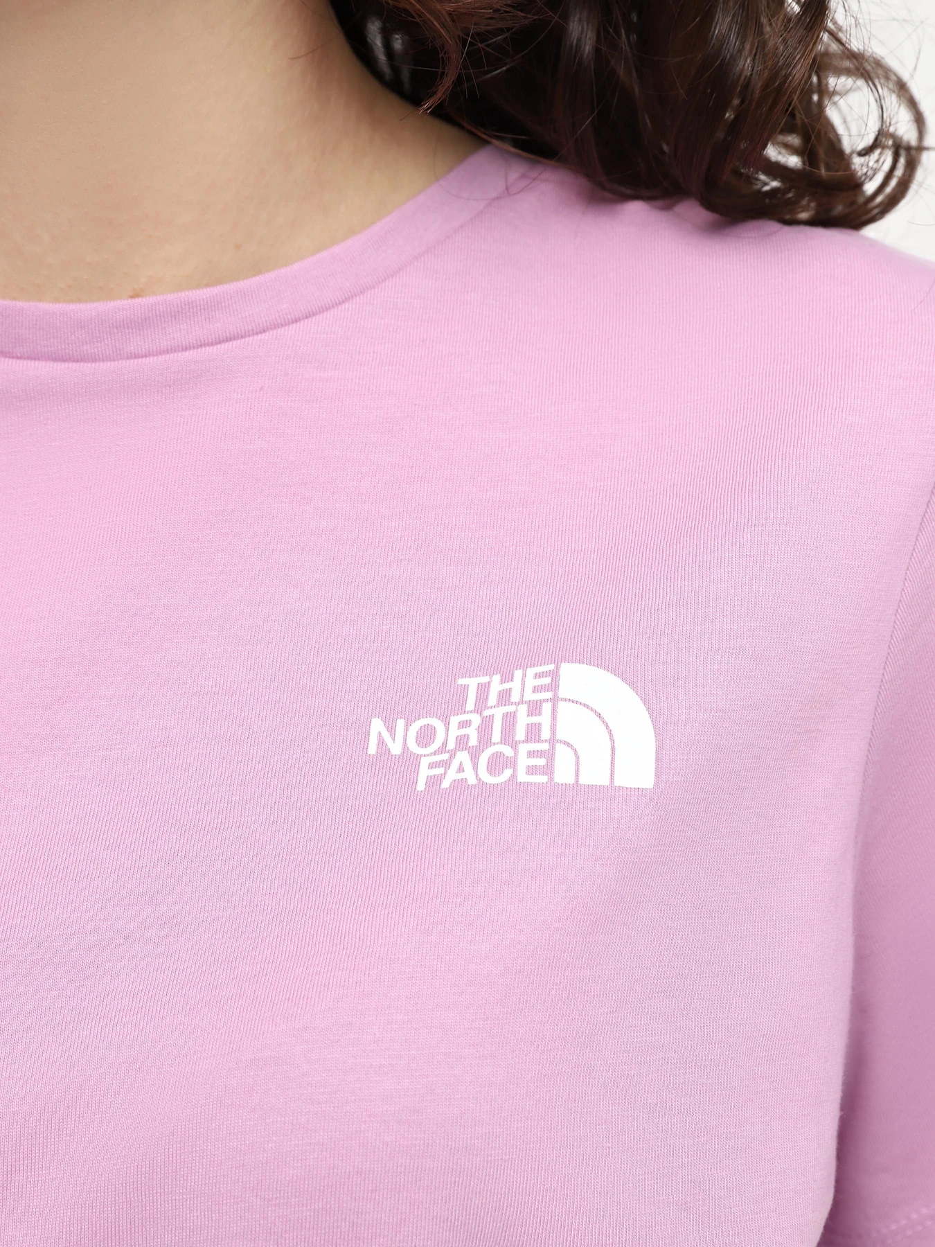 Футболки і поло The North Face W Foundation Mountain Graphic Tee модель NF0A882VPO21 Фото