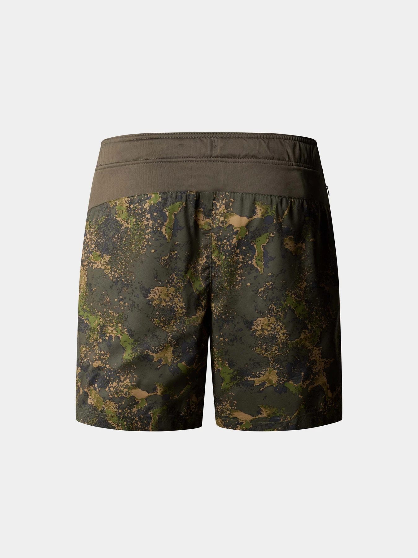 Шорты The North Face 24/7 Printed Performance Shorts модель NF0A886W1BI1 Шорты The North Face 24/7 Printed Performance Shorts модель NF0A886W1BI1 Фото