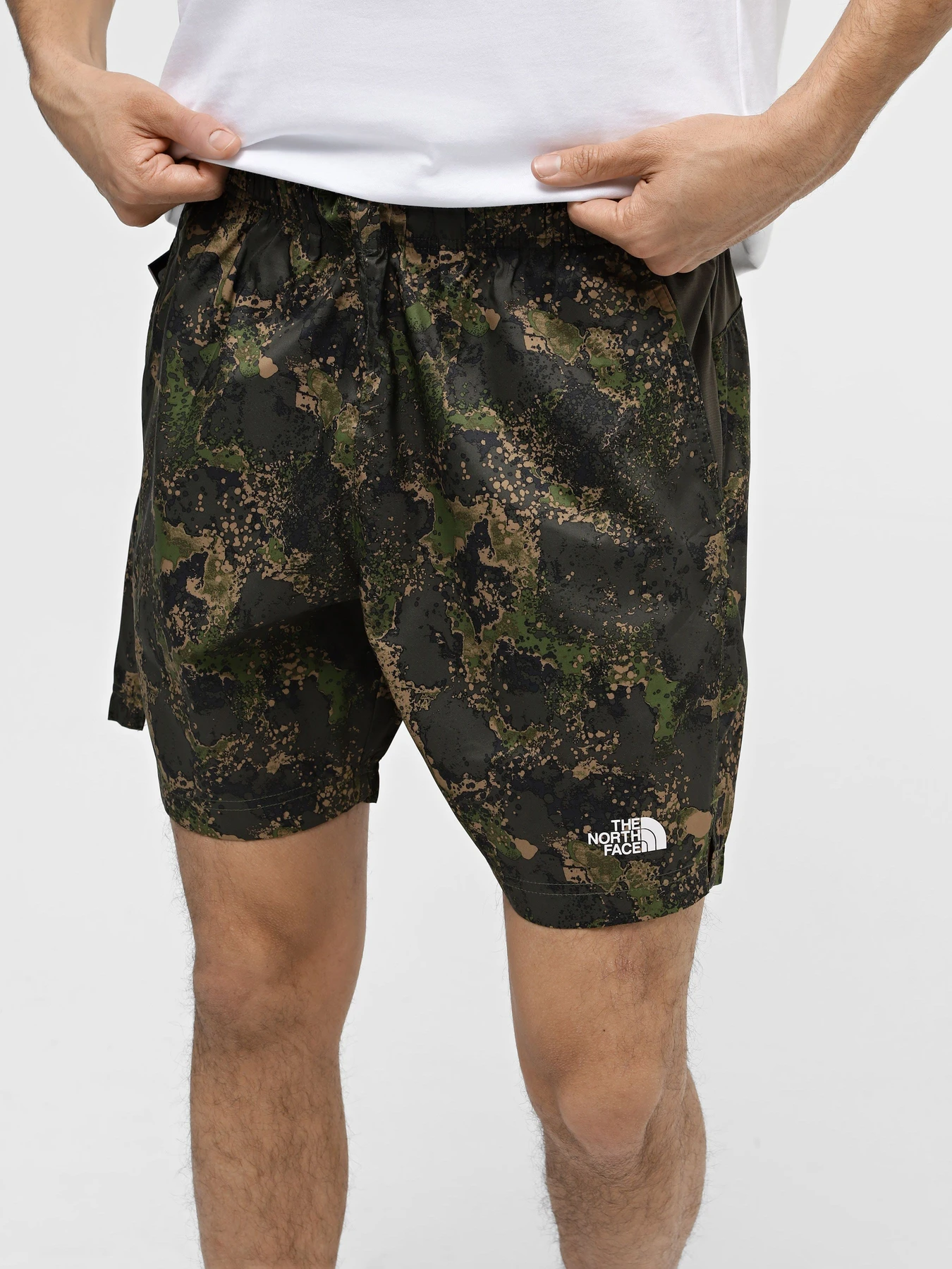Шорты The North Face 24/7 Printed Performance Shorts модель NF0A886W1BI1 Шорты The North Face 24/7 Printed Performance Shorts модель NF0A886W1BI1 Фото