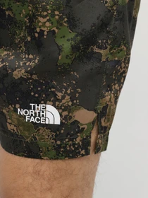 Шорты The North Face 24/7 Printed Performance Shorts модель NF0A886W1BI1 Фото