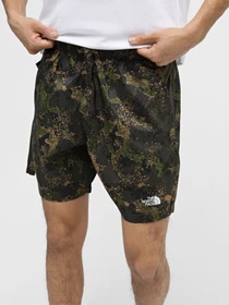 Шорты The North Face 24/7 Printed Performance Shorts модель NF0A886W1BI1 Фото